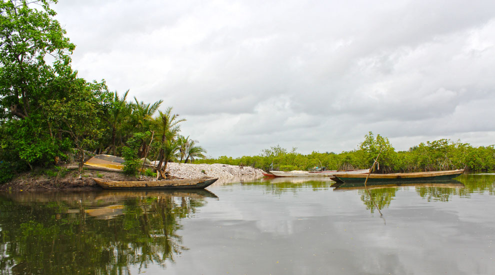 Gambia River